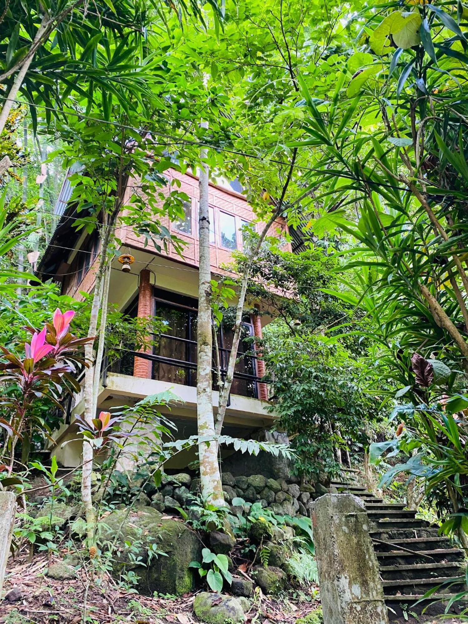 Forest Camp Valencia  외부 사진